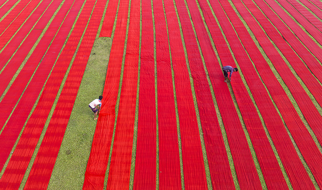 Hundratals meter rödfärgad bomull har rullats ut för att torka i den heta solen på en åker i Narsing­­­di-distriktet i Bangladesh.