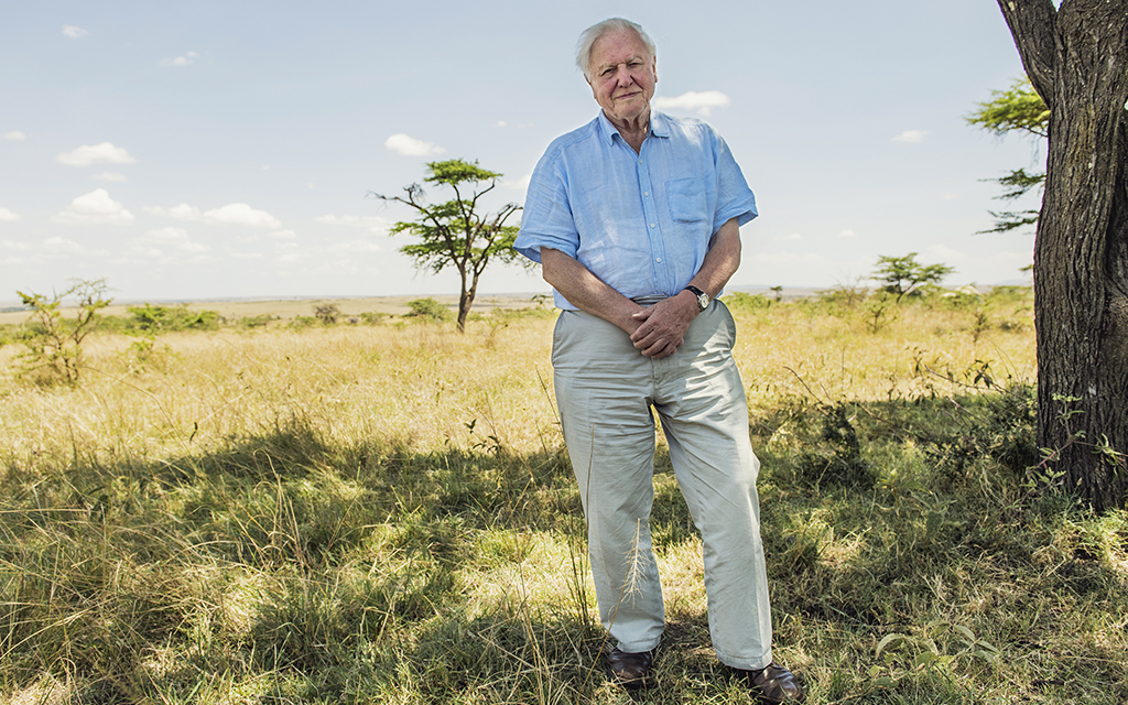 Porträtt av David Attenborough ur dokumentärfilmen A Life on our Planet