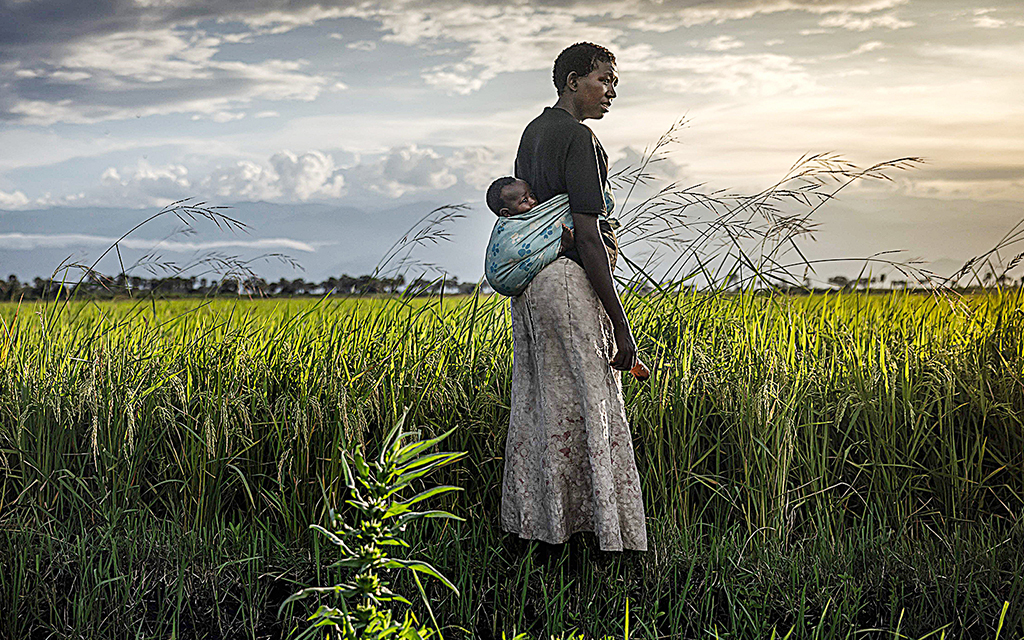 En afrikansk kvinna med ett barn i en sjal på ryggen står och blickar ut över ett fält i skymningen.